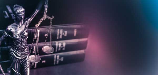 Federal Criminal System