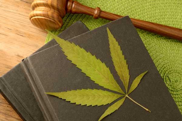 Learn More About Marijuana Possession
